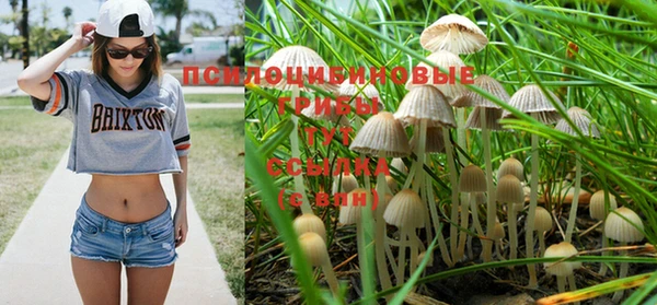 прущий лед Пионерский